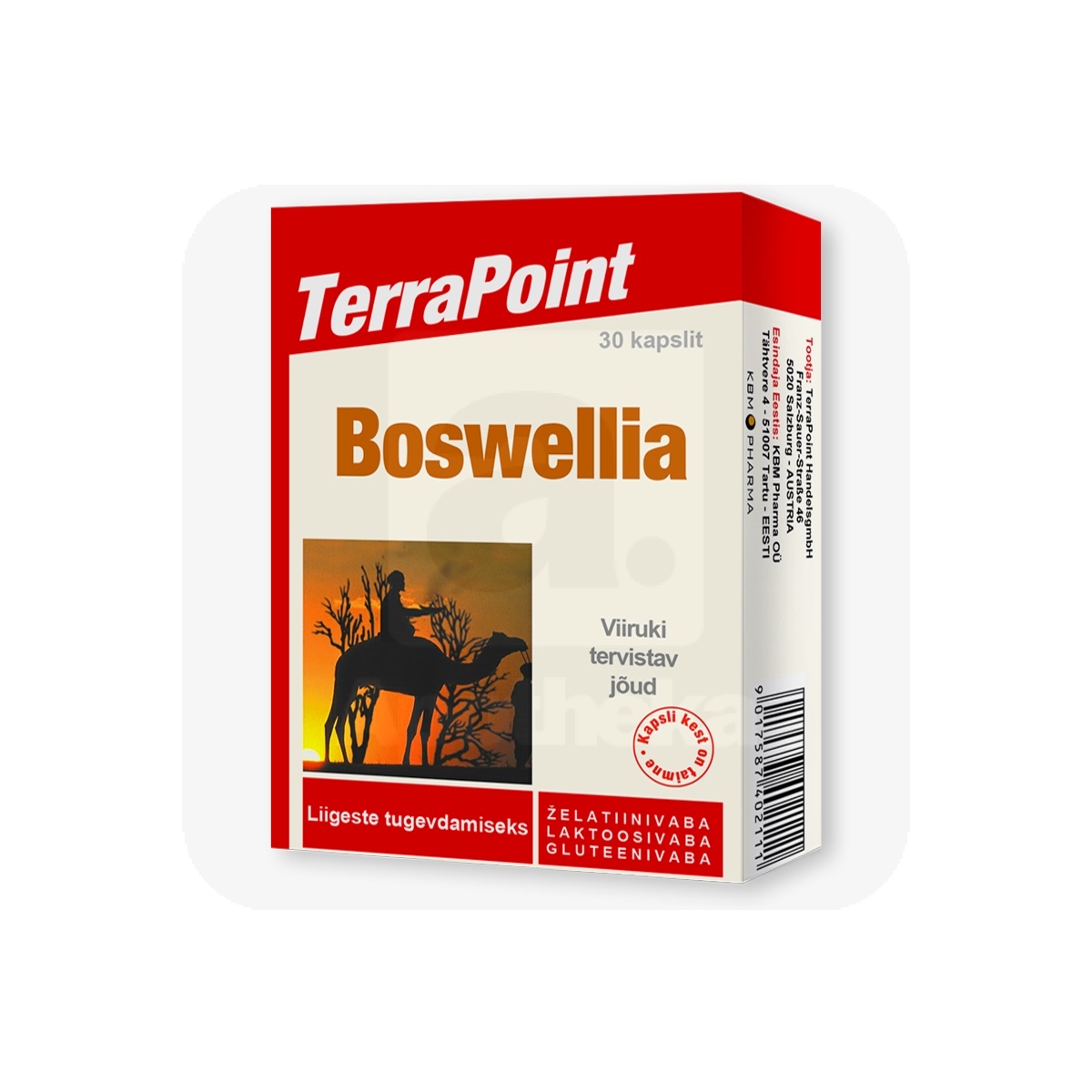 TERRAPOINT BOSWELLIA CAPS N30 - Изображение товара