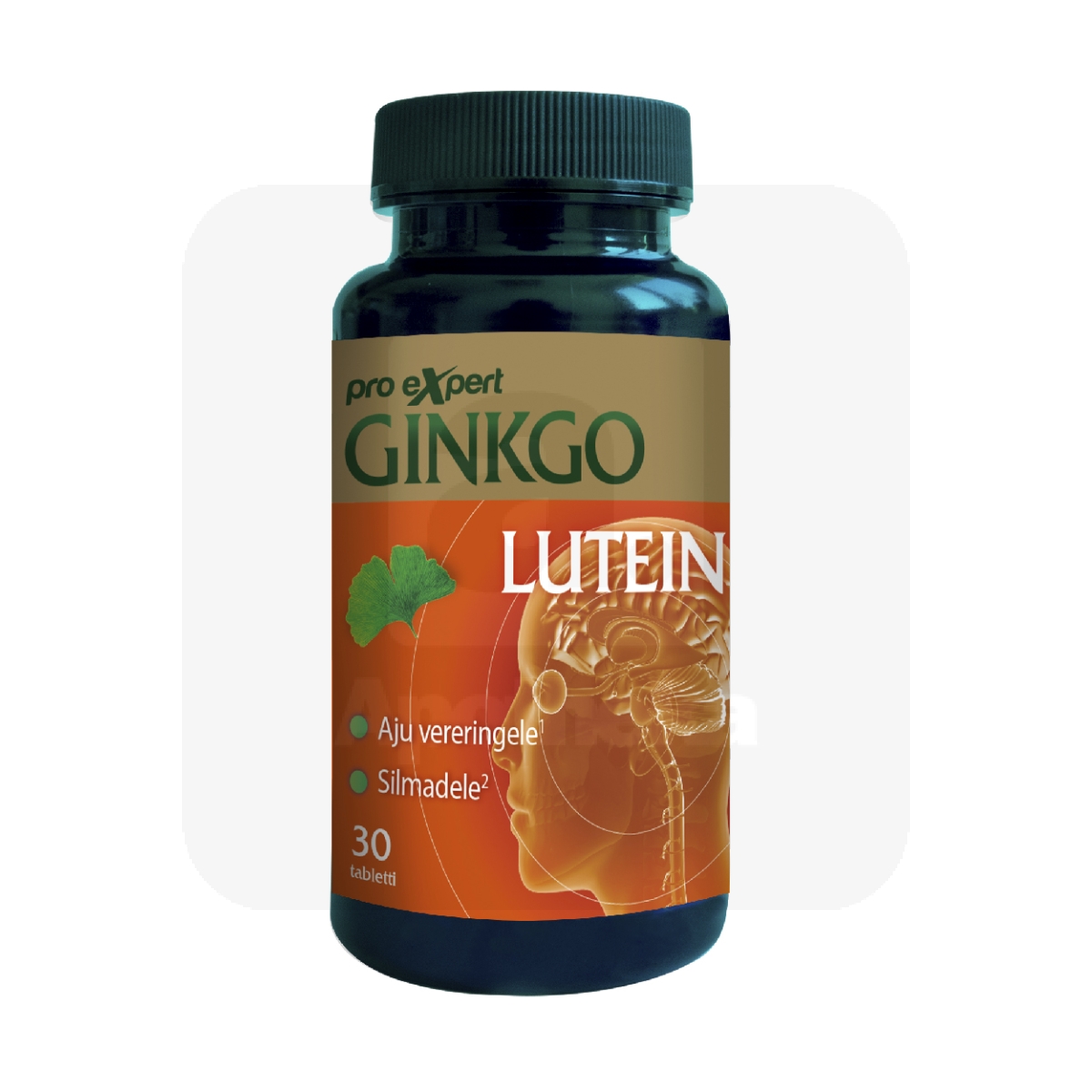 GINKGO PRO EXPERT LUTEIN TBL N30