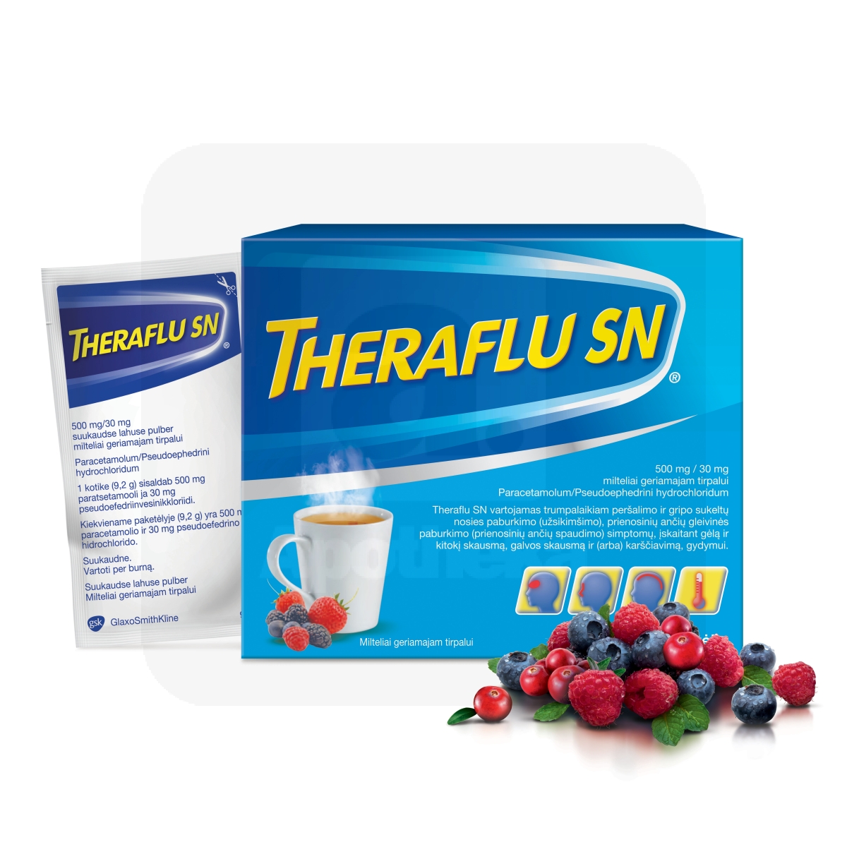 THERAFLU SN 500MG+30MG N10 SUUKAUDSE LAHUSE PULBER - Изображение товара