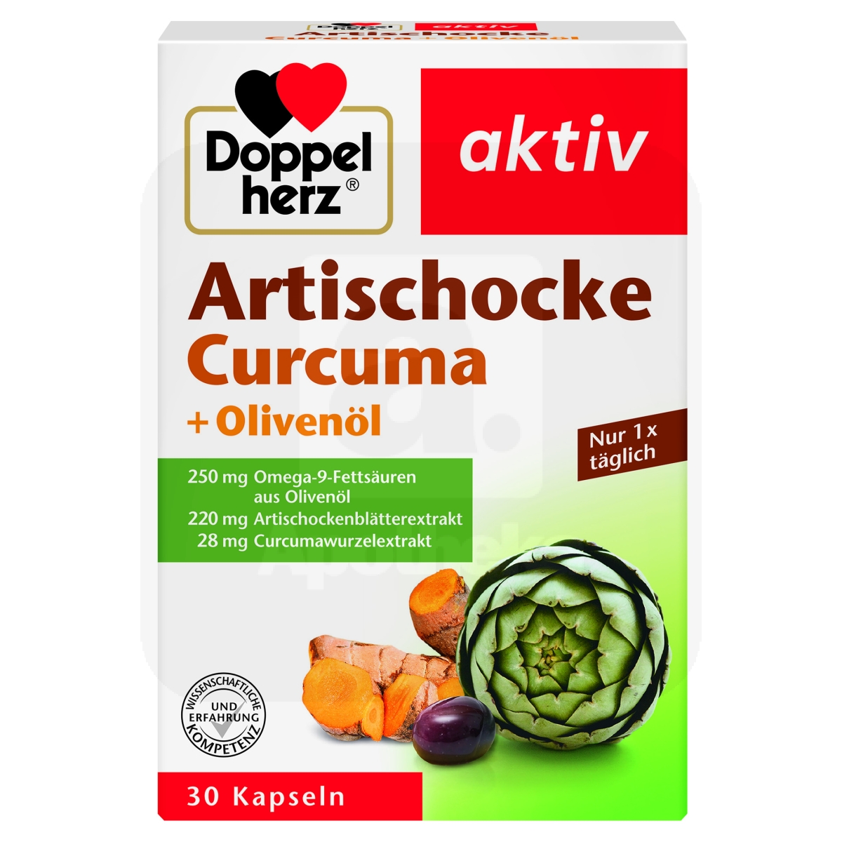 DOPPELHERZ AKTIV ARTISOKK+KURKUM+OLIIVIÕLI CAPS N30