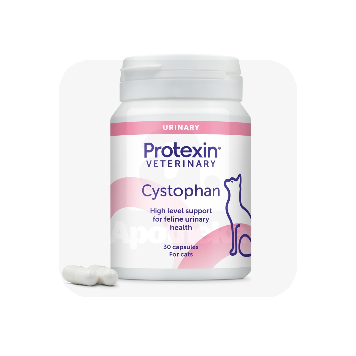 PROTEXIN CYSTOPHAN N30 - Изображение товара