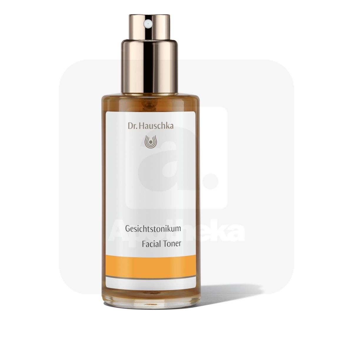 DR.HAUSCHKA ÜLDINE NÄOTOONIK 100ML - Изображение товара