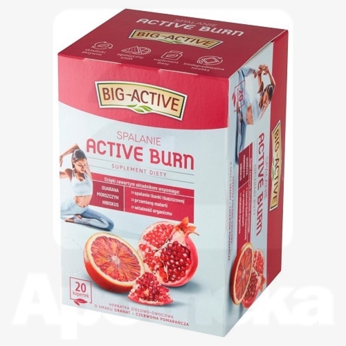 BIG-ACTIV  ACTIVE BURN TEE N20