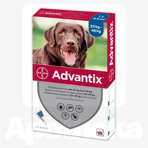 ADVANTIX TÄPILAHUS 500MG+100MG/ML 4,0ML N1 (>25-40KG)